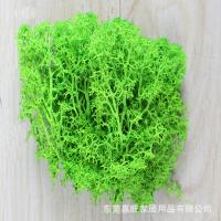 uploads/erp/collection/images/Home Garden/dgjiawang/XU0612748/img_b/XU0612748_img_b_4